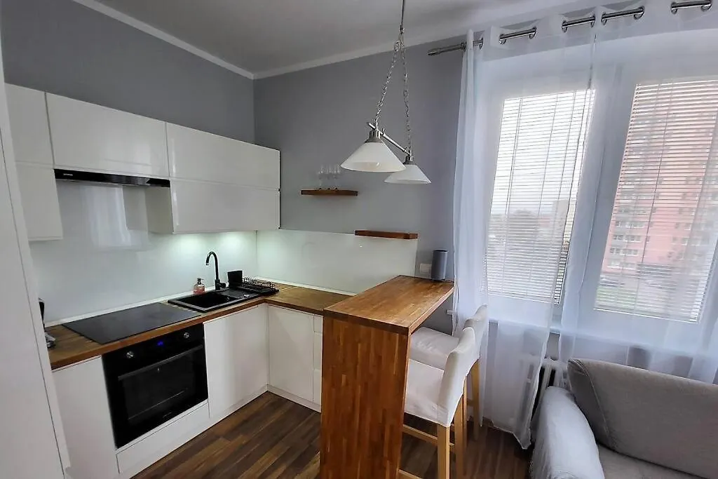 Ogrody * Wi-Fi * Jezyce * 3 Km Center Apartment Poznan
