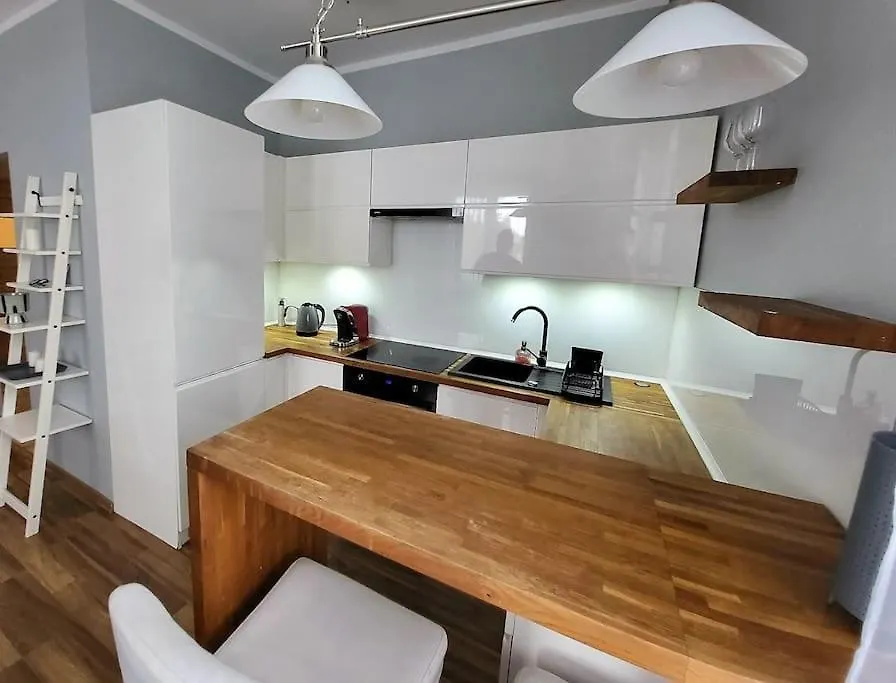 Ogrody * Wi-Fi * Jezyce * 3 Km Center Apartment Poznan Poland